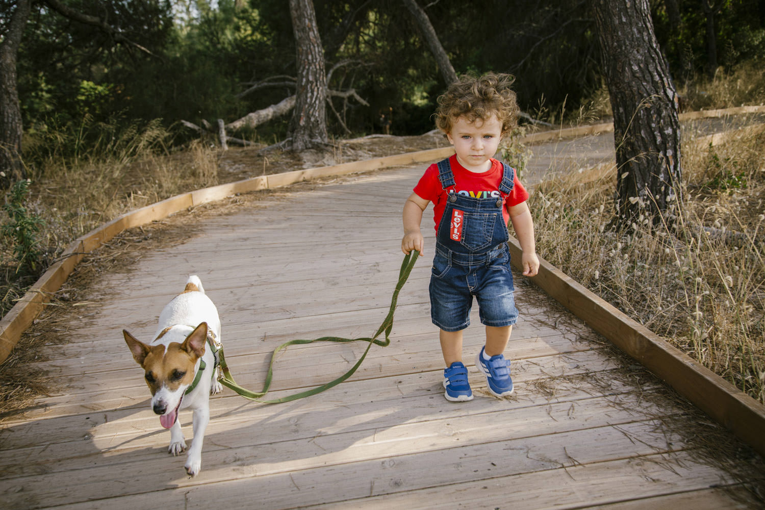 paseo niño con perro